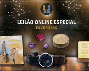 Leilão Online ESPECIAL de Fevereiro de 2022