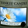 Vela Yankee Candle 