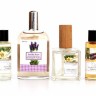 Conjunto de Fragrâncias Ambientadoras