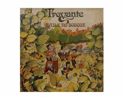 Um Disco de Vinil dos Trovante 