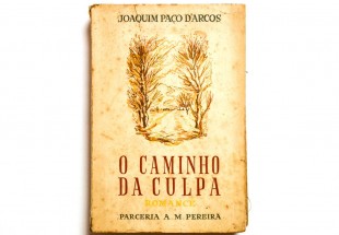 O CAMINHO DA CULPA