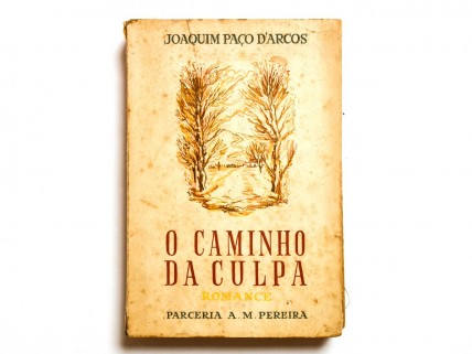 O CAMINHO DA CULPA