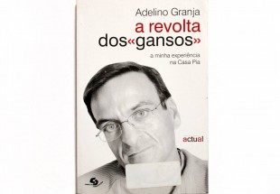 A REVOLTA DOS «GANSOS«