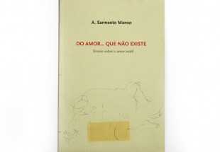 DO AMOR... QUE NÃO EXISTE / Ensaio sobre o amor inútil