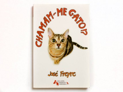 CHAMAM-ME GATO !?